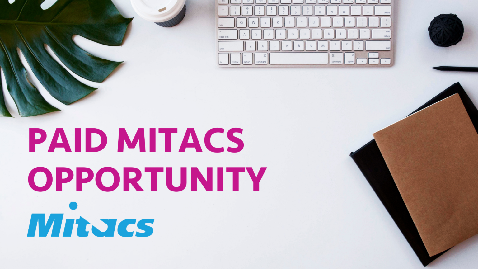 Paid Mitacs opportunities for graduate students July 2021 Graduate